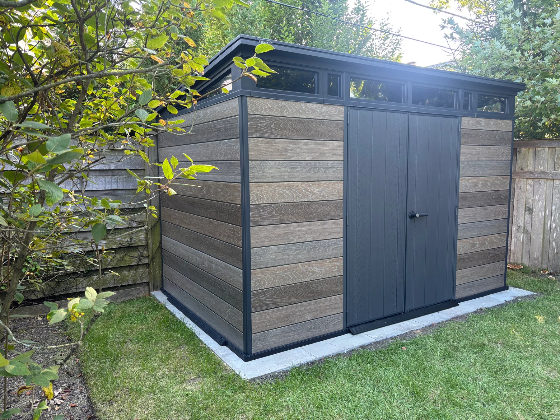 After assembly: a corner view showing the side panels, roof, and how the shed fits beside the garden fence.